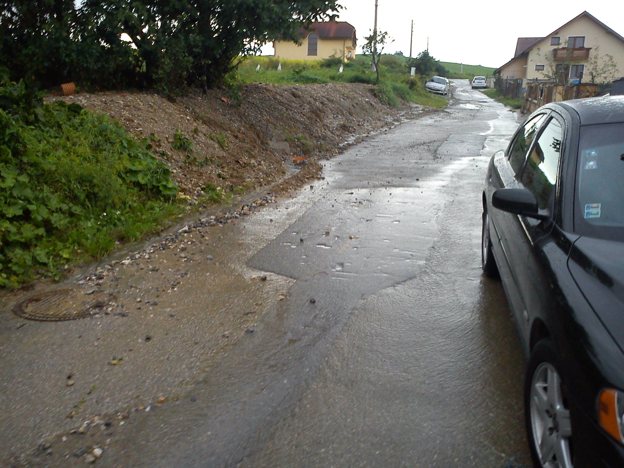 DSC00062.jpg